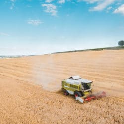 terre agricole