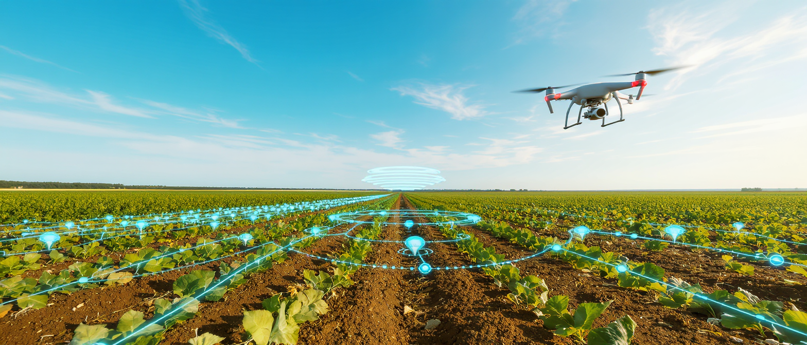 découvrez les étapes clés pour mettre en place l'agriculture régénérative et adopter des pratiques agricoles durables qui préservent les sols, la biodiversité et l'environnement. guide pratique pour réussir votre transition.
