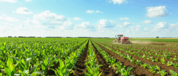 découvrez comment l’agriculture sans labour permet de réaliser des économies significatives sur les coûts de production, tout en préservant la qualité des sols et en favorisant une agriculture durable.