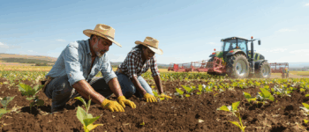 découvrez les témoignages inspirants d'agriculteurs français ayant adopté la conservation des sols : motivations, pratiques innovantes et bénéfices pour la durabilité de leurs exploitations.