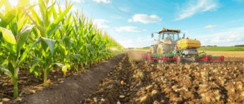 découvrez comment réduire le travail du sol tout en maintenant vos rendements agricoles. conseils, techniques et bonnes pratiques pour une agriculture plus durable et productive.