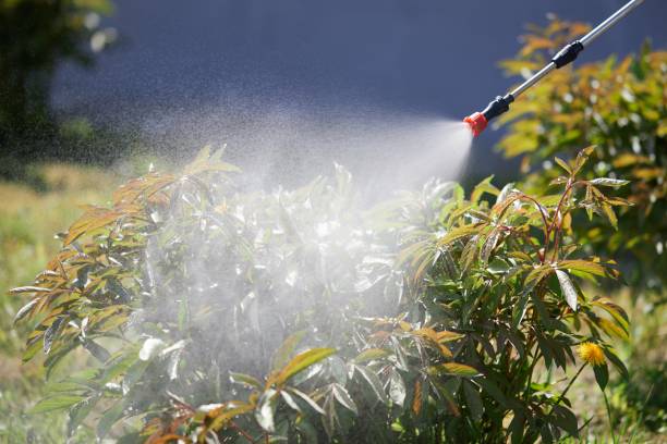 pulvérisation agricole buse jet 